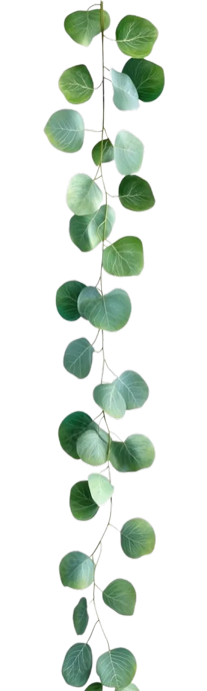 Wellness für Haut & Seele- Naturkosmetik Lounge - grünes Blatt